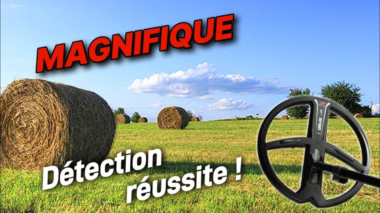 une détection réussite monnaies et objets sur une journée dépollution !#détection #détecteur #trésor