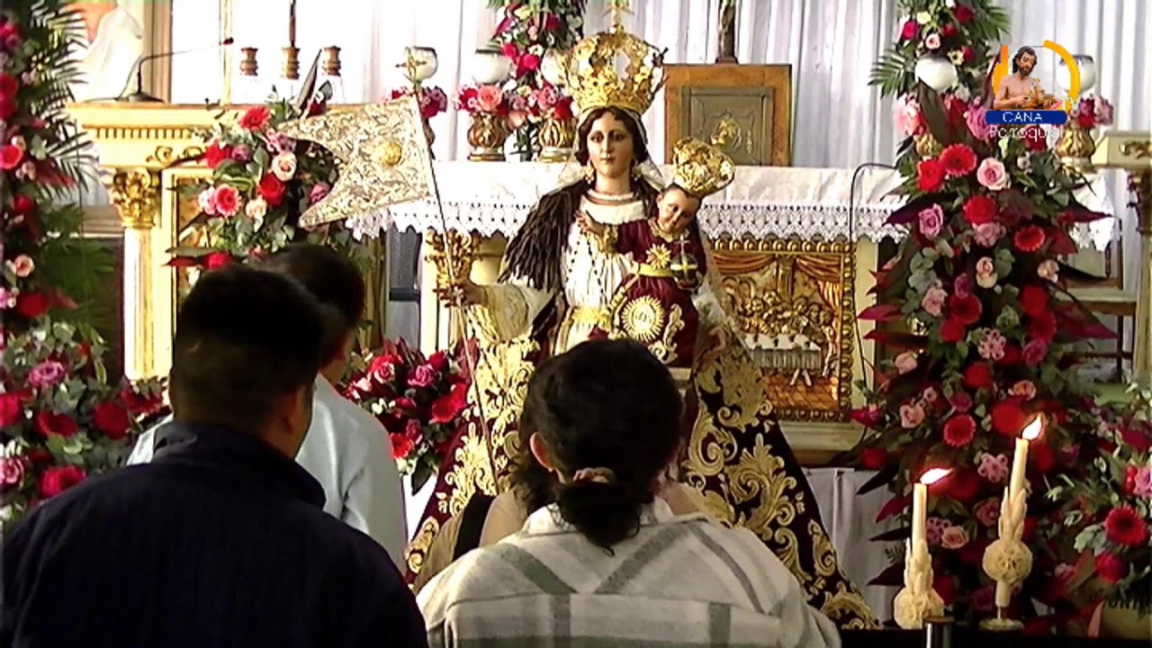 Santa Misa, lunes 12 de enero 2026