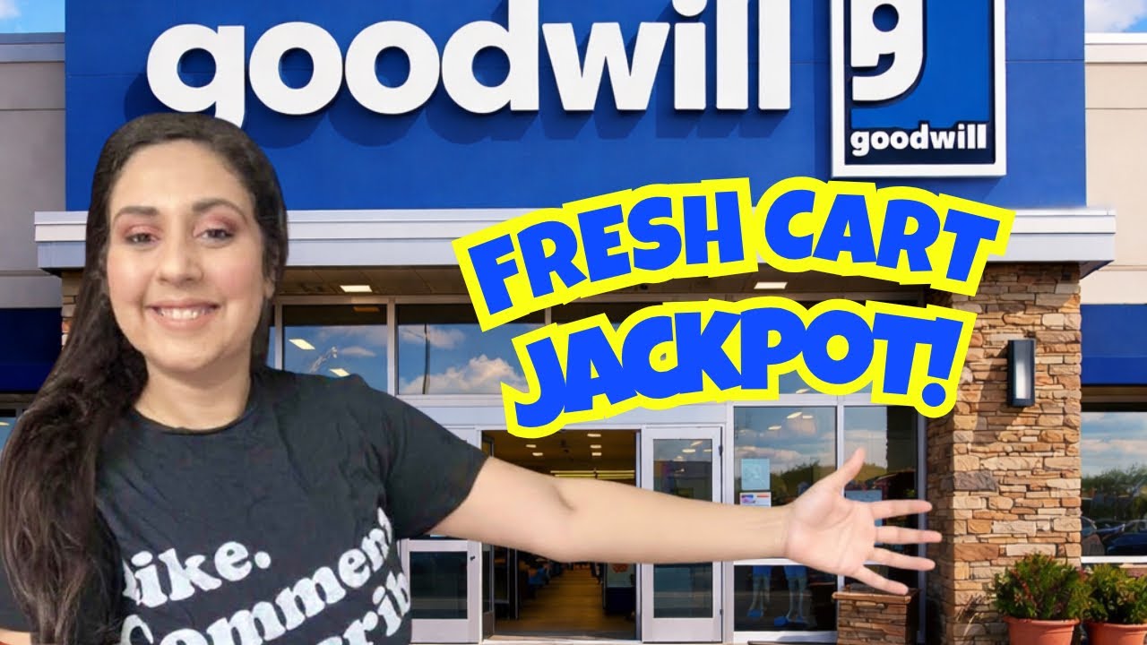 FINE. I will STOP COMPLAINING ABOUT GOODWILL. THRIFT HAUL| THRIFT WITH ME