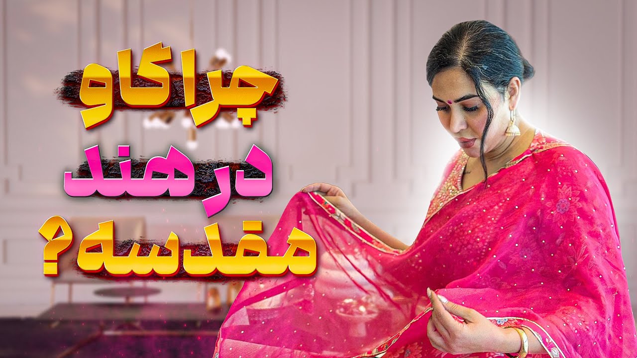 چرا گاو در هند مقدس هستش ؟ 🐄