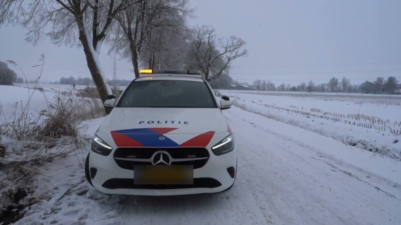 Busje frontaal op boom Veeningen