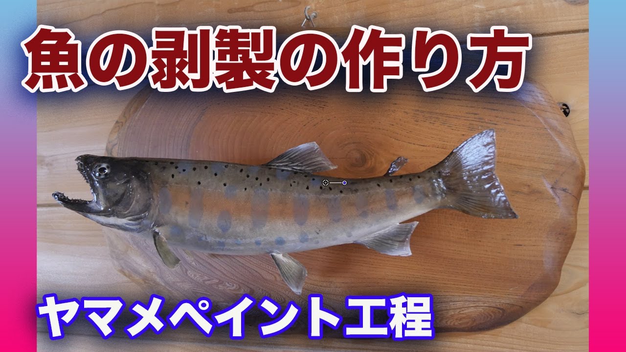 魚の剥製の作り方・ヤマメのペイント工程