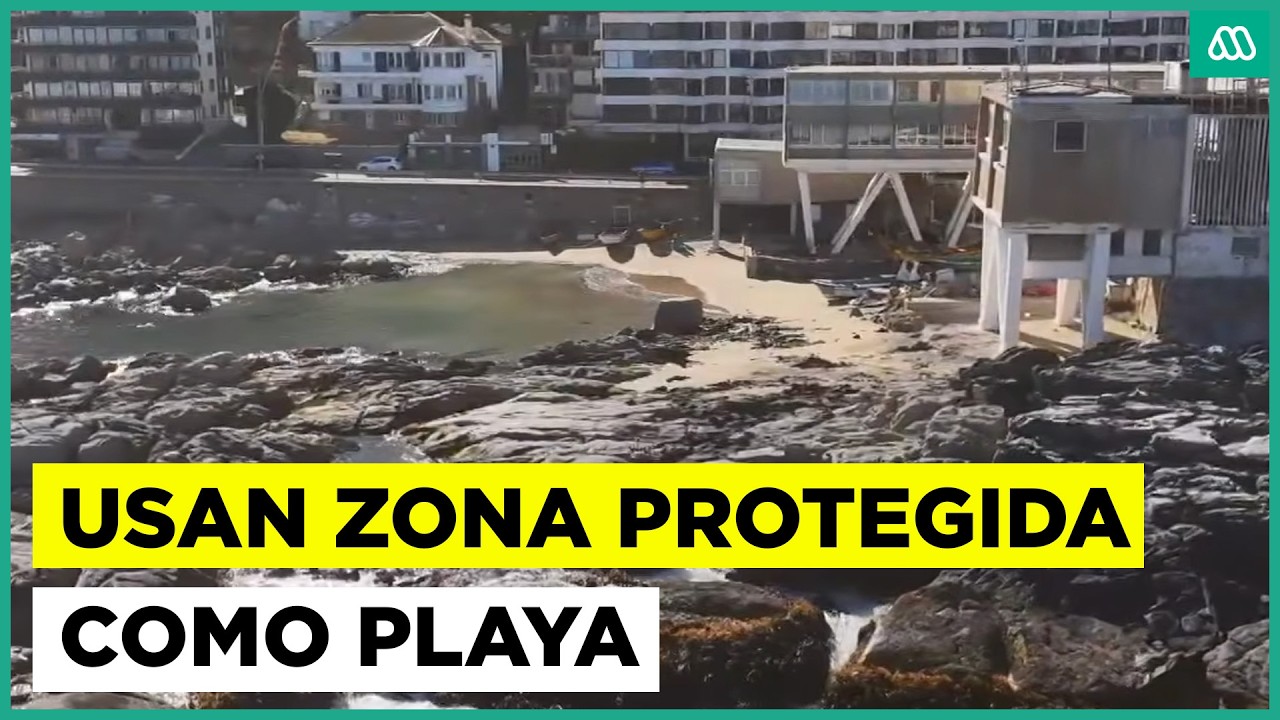 Debate por ocupación de playa Montemar: Instalan carpas en zona marítima protegida