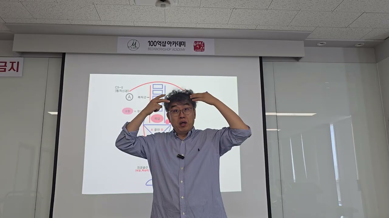 근육 경락  수기  해부학  생리학  수기 