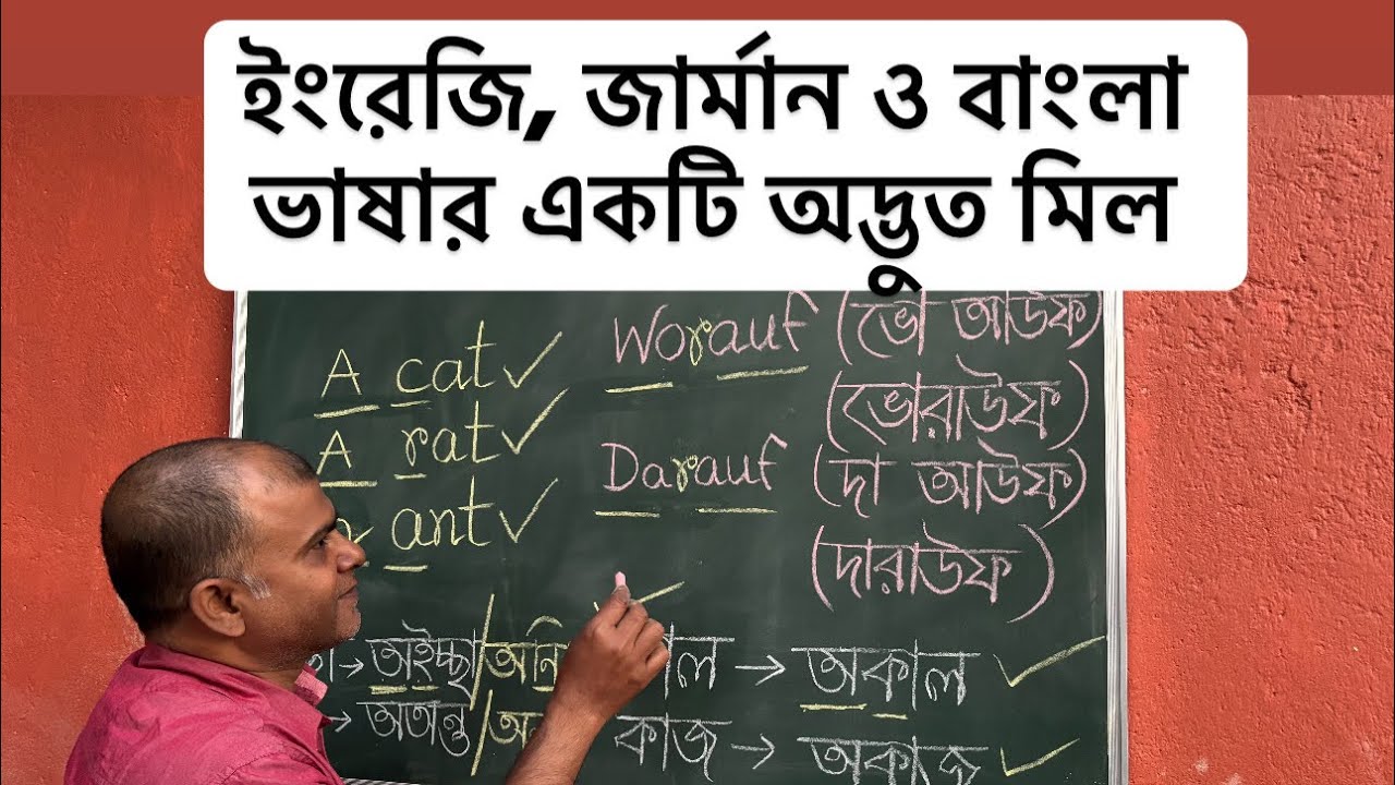 A ant লিখলে ভুল কোথায়?