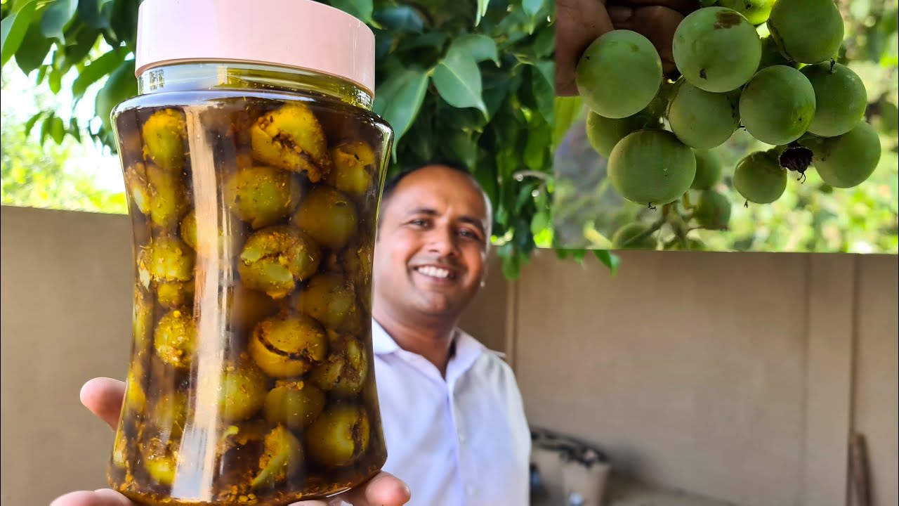 Lasooray ka Achaar | لسوڑے کا اچار | Gunda Pickle | Grandma's Style | Village Style | Mubashir Sadiq