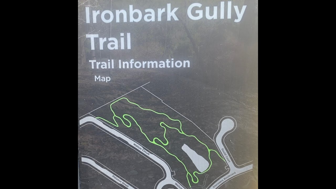 Casual day at the Ironbark Gully. FPV RC Car racing rally Baja Trophy Truck onboard