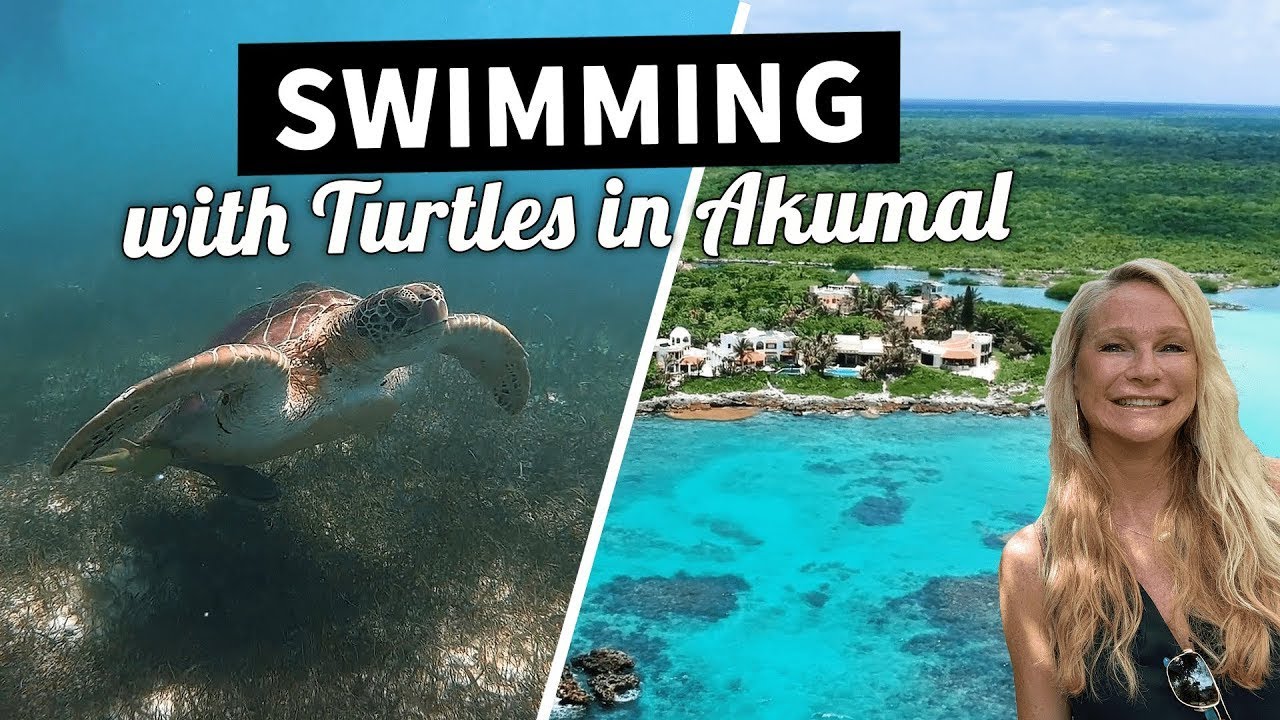 Akumal, Mexico & Yal Ku Lagoon | Travel Tips, Food & Snorkeling with Turtles