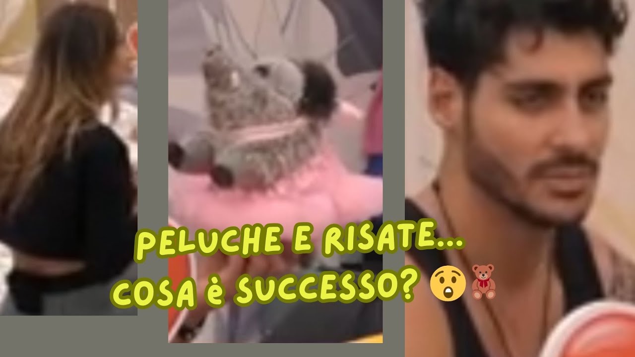 Cosa combinano Helena e Javier con i peluche? 🧸🤣