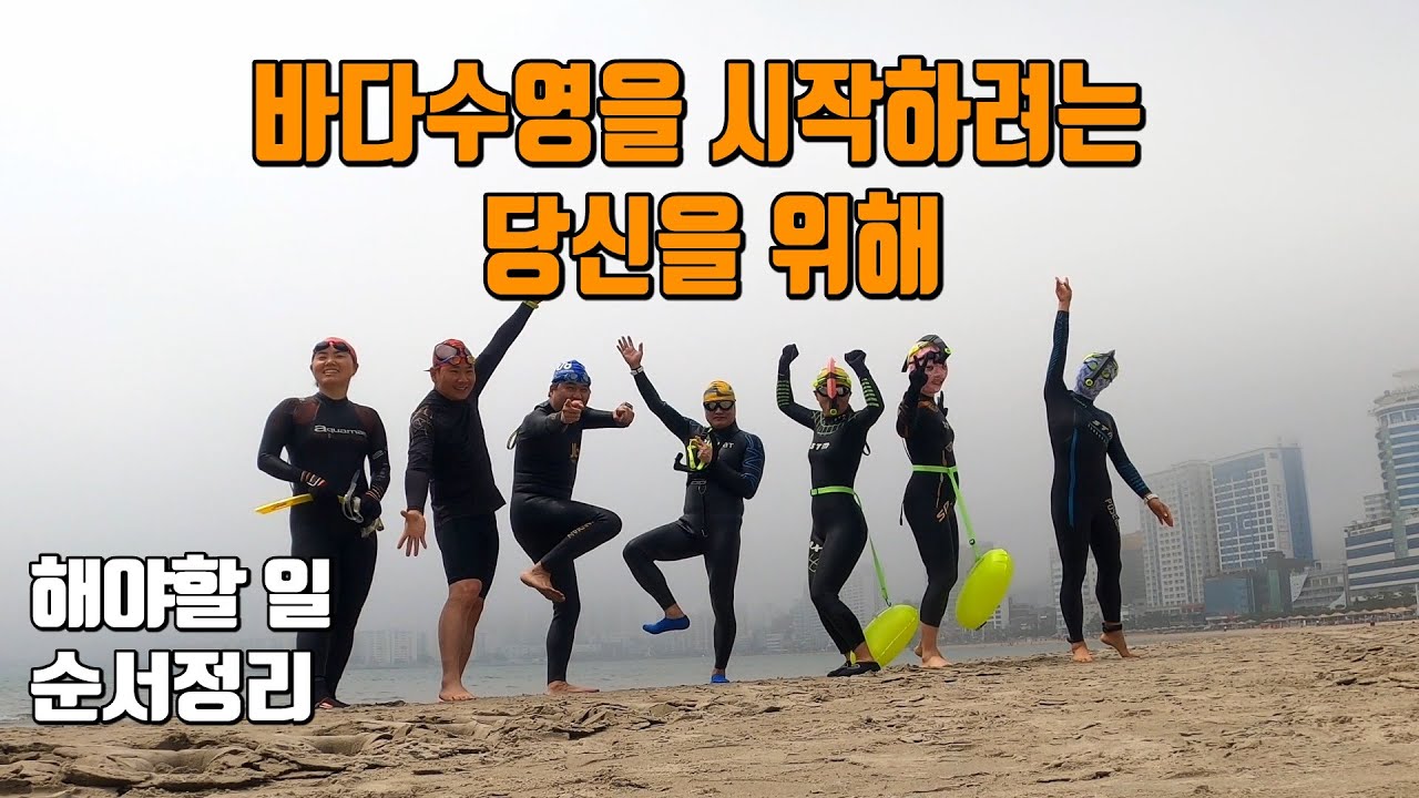 바다수영을 시작하려는 당신을 위해.... .......상어 없어요. ㅎㅎ