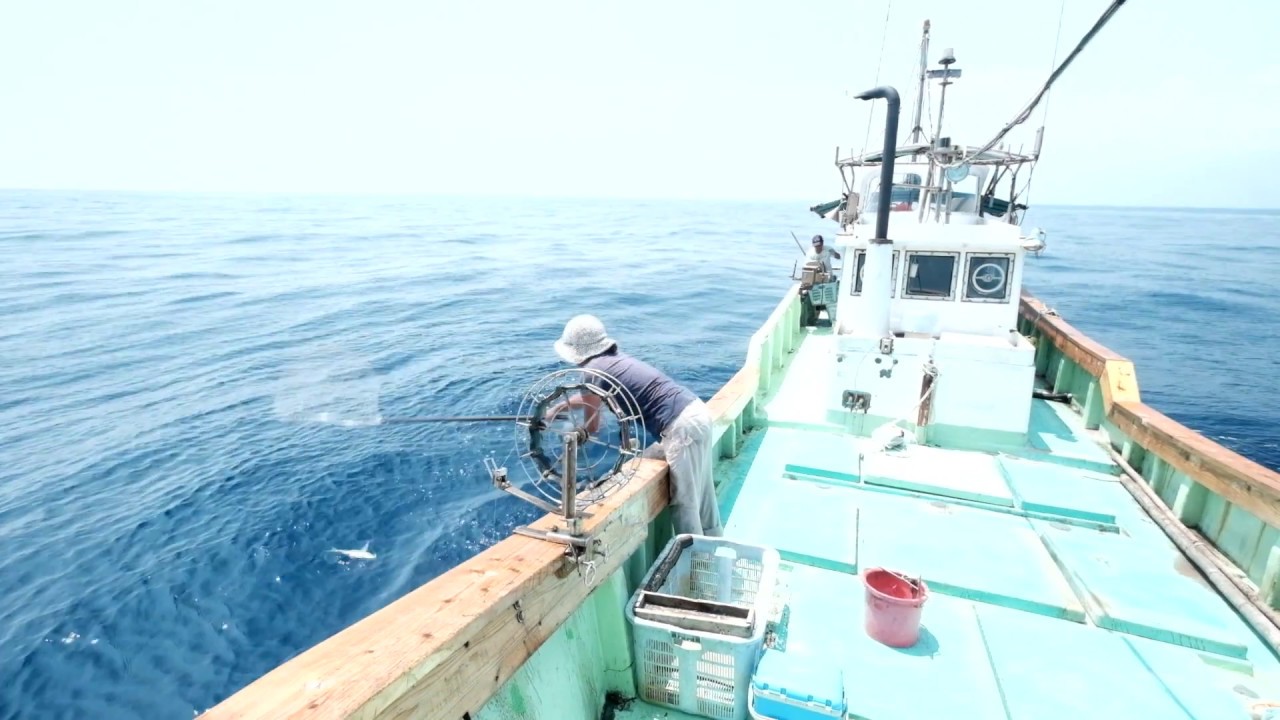 屋久島の海で働く！天職に出会った女性漁師の挑戦｜伊藤佳代さん『かごしま暮らし』