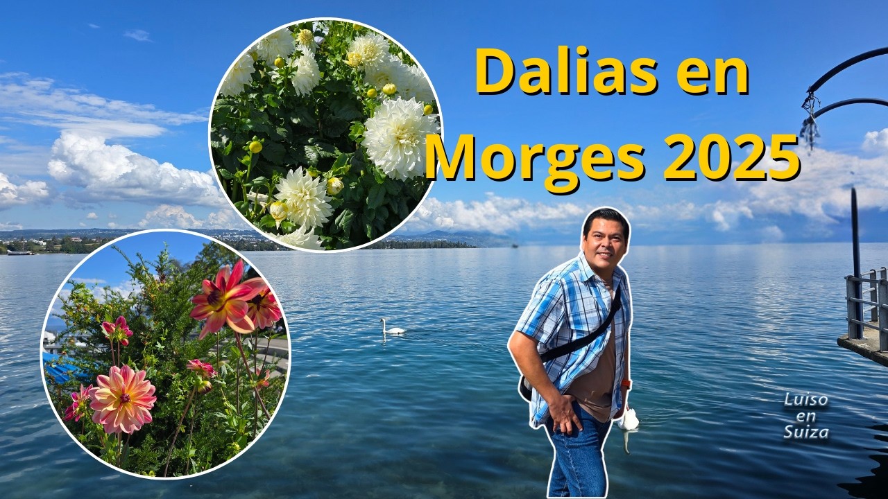Festival de las Dalias en Morges 2025: cuándo ir, cómo llegar y las MEJORES fotos 📸🌼