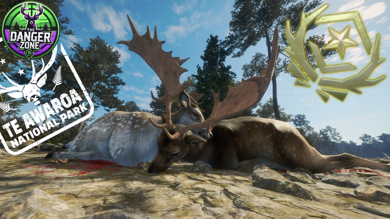 The Fallow Deer Experience