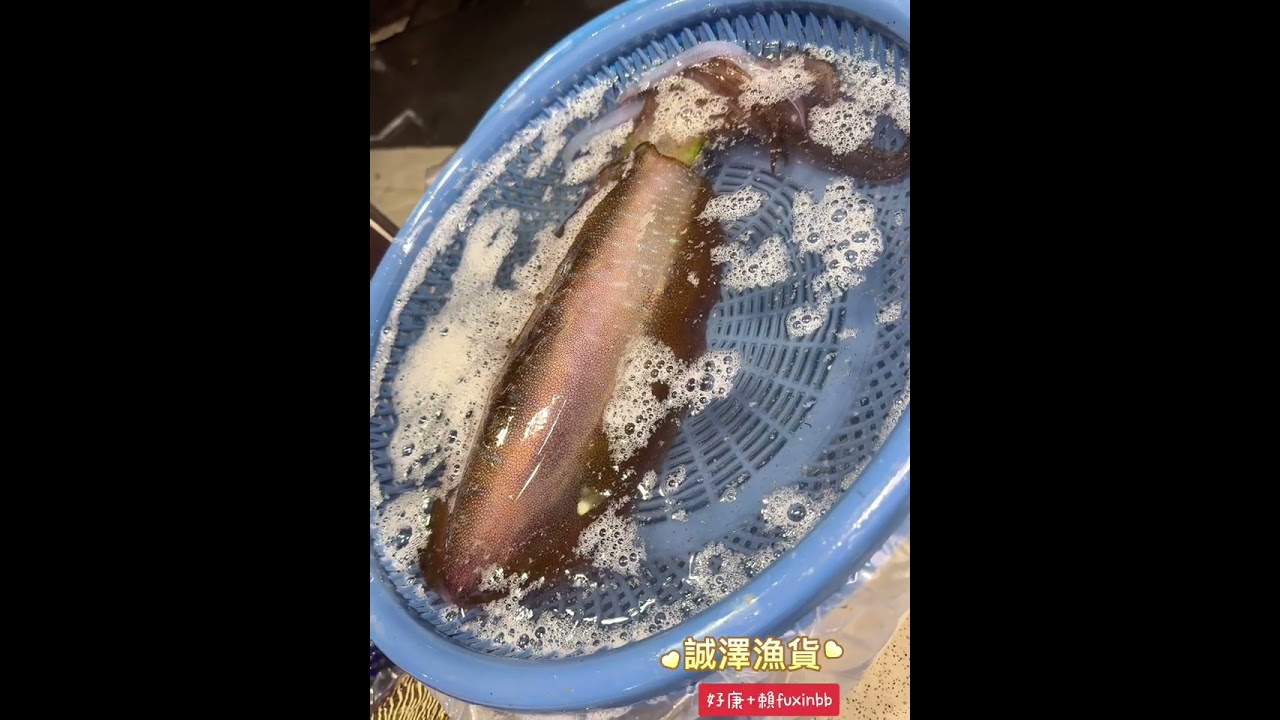 到店還在呼吸的軟絲～