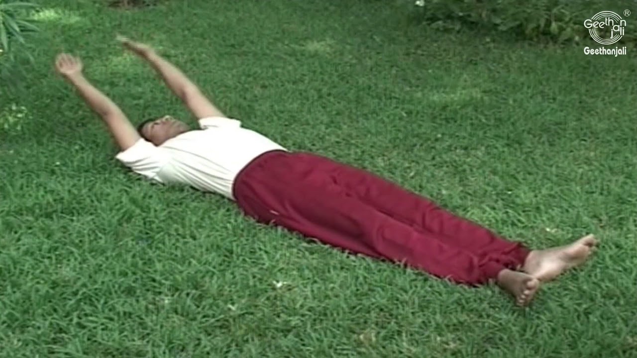 Top 5 Easy Yoga Exercises for Back Problem | Beginners Yoga Asanas for Lower Back Pain Relief