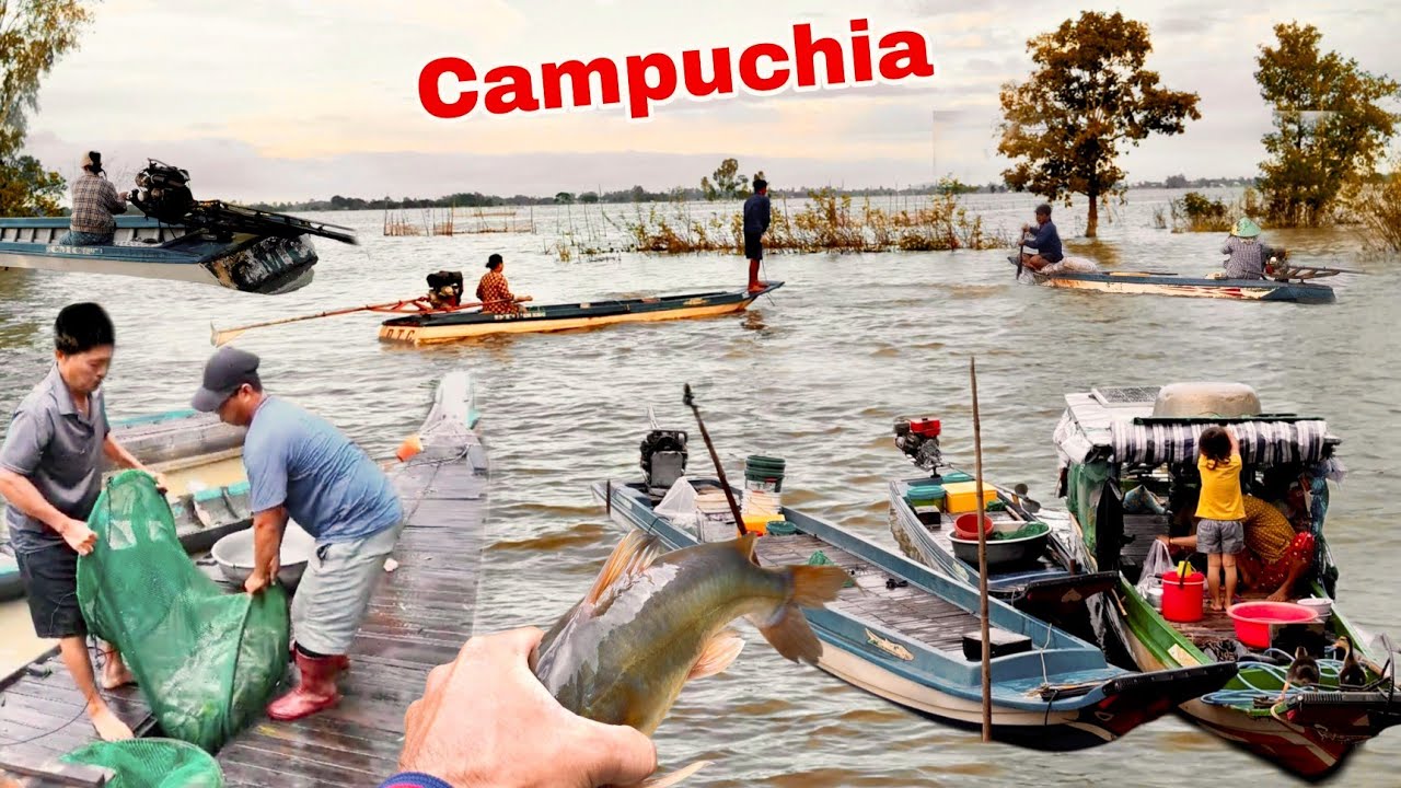 Nước rút khô bờ cả xóm trúng Ổ Cá từ Campuchia tràn về mùa nước lũ rút mạnh 