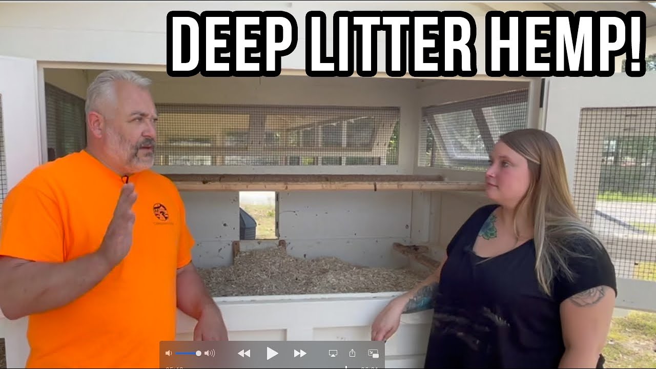 Adding hemp to your hen house works wonders!
