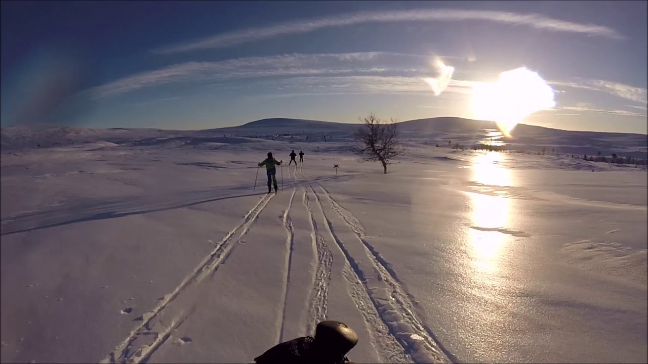 En tur på längdskidor sportlov 2019
