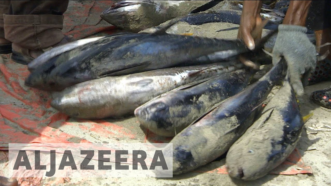 Сомалийские рыбаки жалуются на незаконные суда