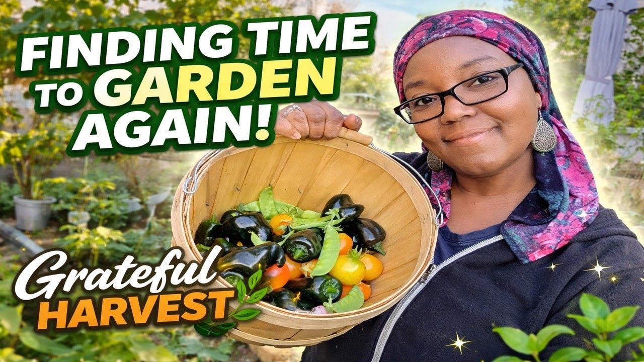 Life Got Busy… But the Garden Still Gave Back 🌱 | Harvest Gratitude