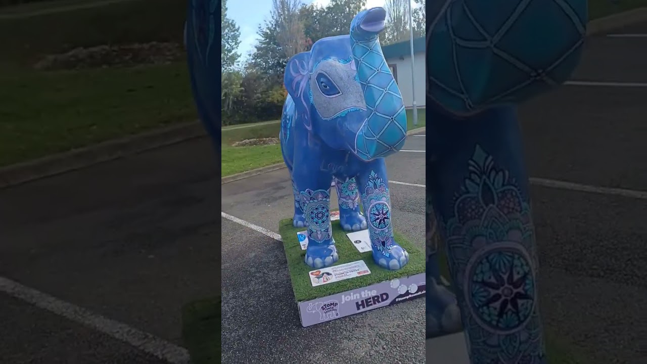 Stomp Round Leicester farewell weekend. 120 elephants to see at @LOROSHospice please join us.