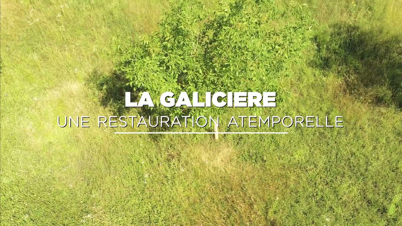 2021 - La Galicière, une restauration atemporelle ?