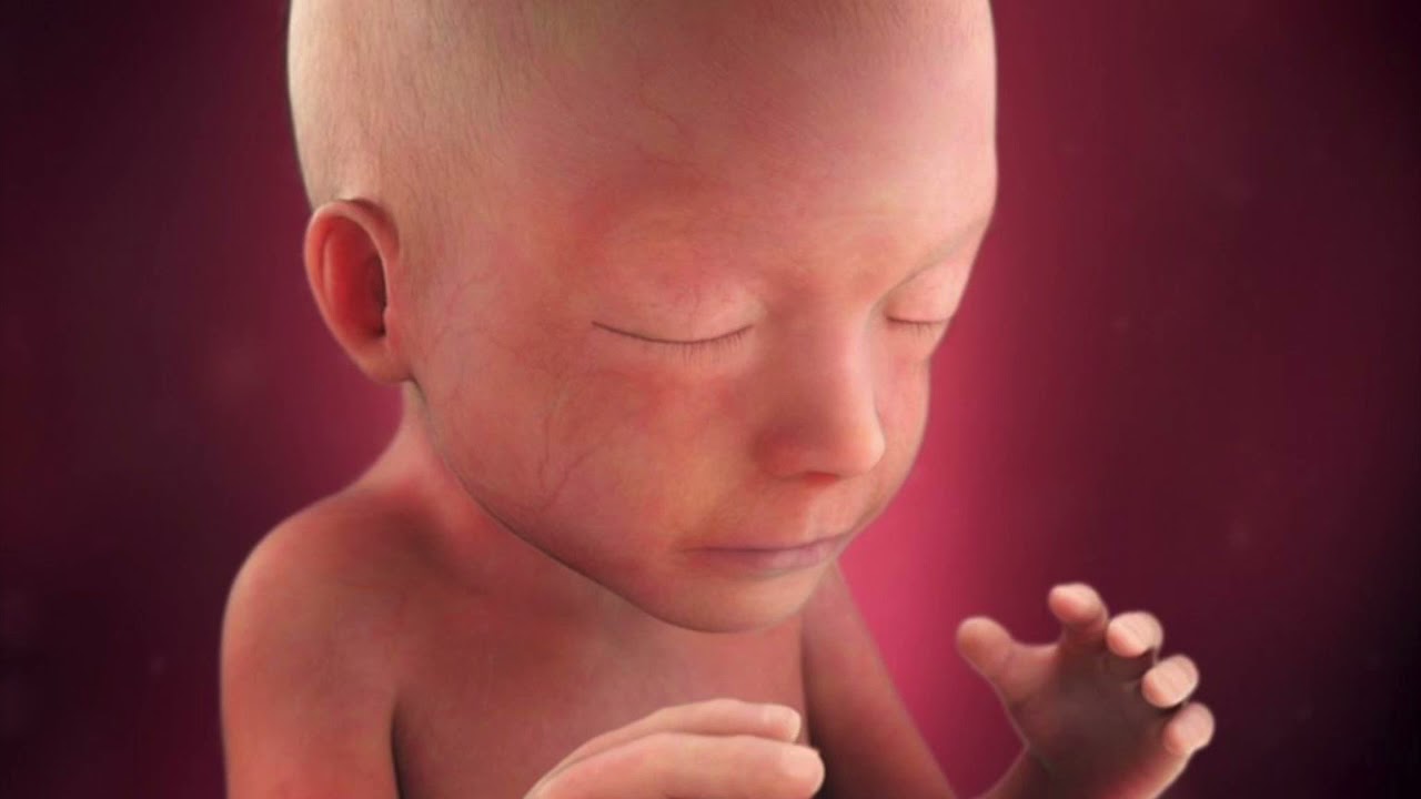 20. deň = 20. týždeň života dieťatka