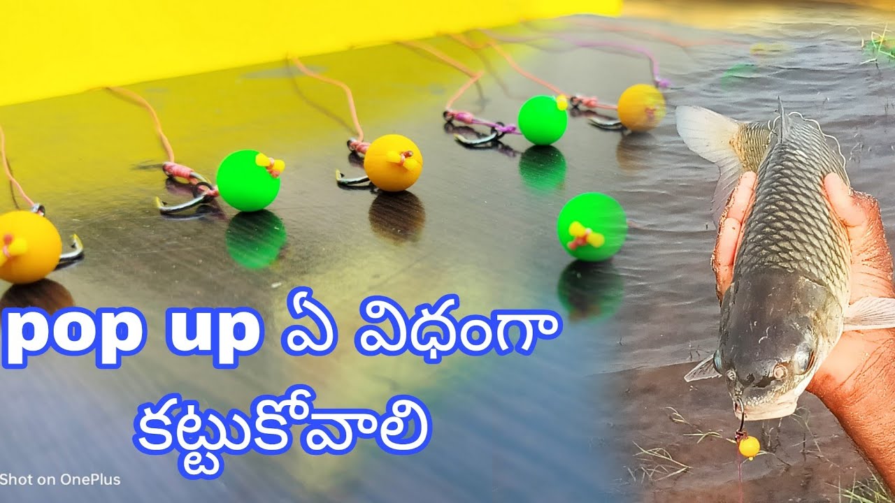 How to attach popups to feeder in Telugu video2024.సొంతంగా పాప్అప్ కార్ప్ రిగ్‌లను ఎలా తయారు చేయాలి