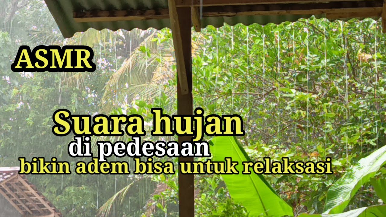 ASMR,, Suara hujan di desa bikin adem relaksasi atasi stres  #cahab 