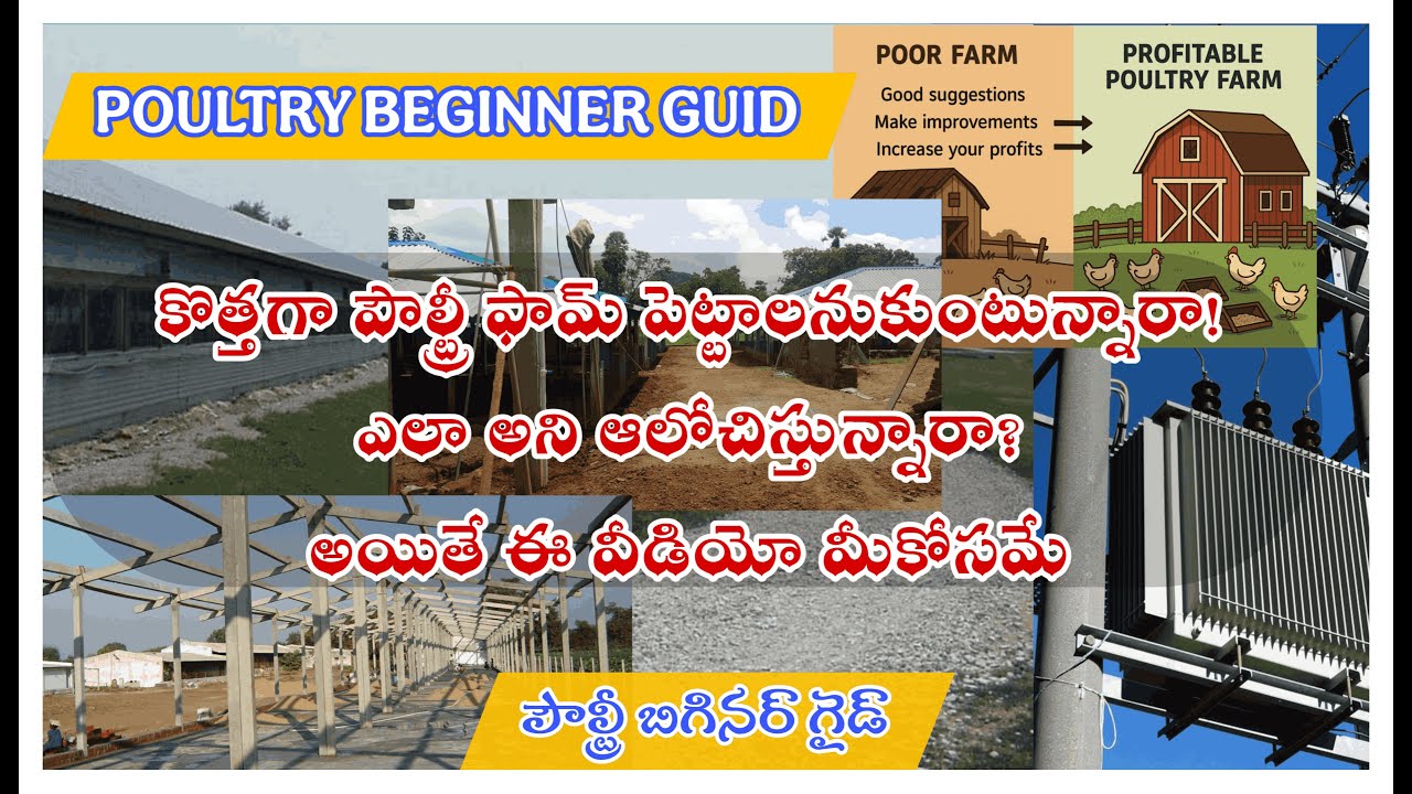 Poultry Farm Shed Construction – Part 1 | Site Selection, Orientation, WaterTesting&Equipment etc.