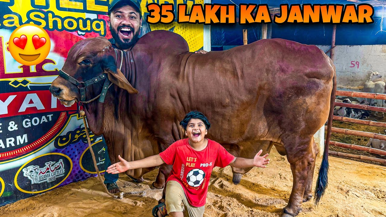 35 Lakh ka janwar pasand a gaya 😱 || Anas bhai ki janwar se Dosti ho gai 😳 ||