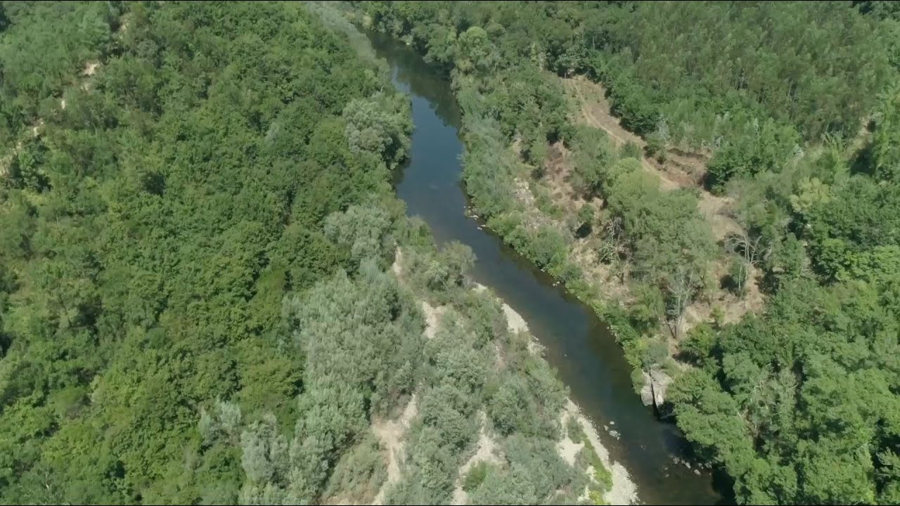 Rio Paiva, Portugal [subtitled] | Qualidade da Água