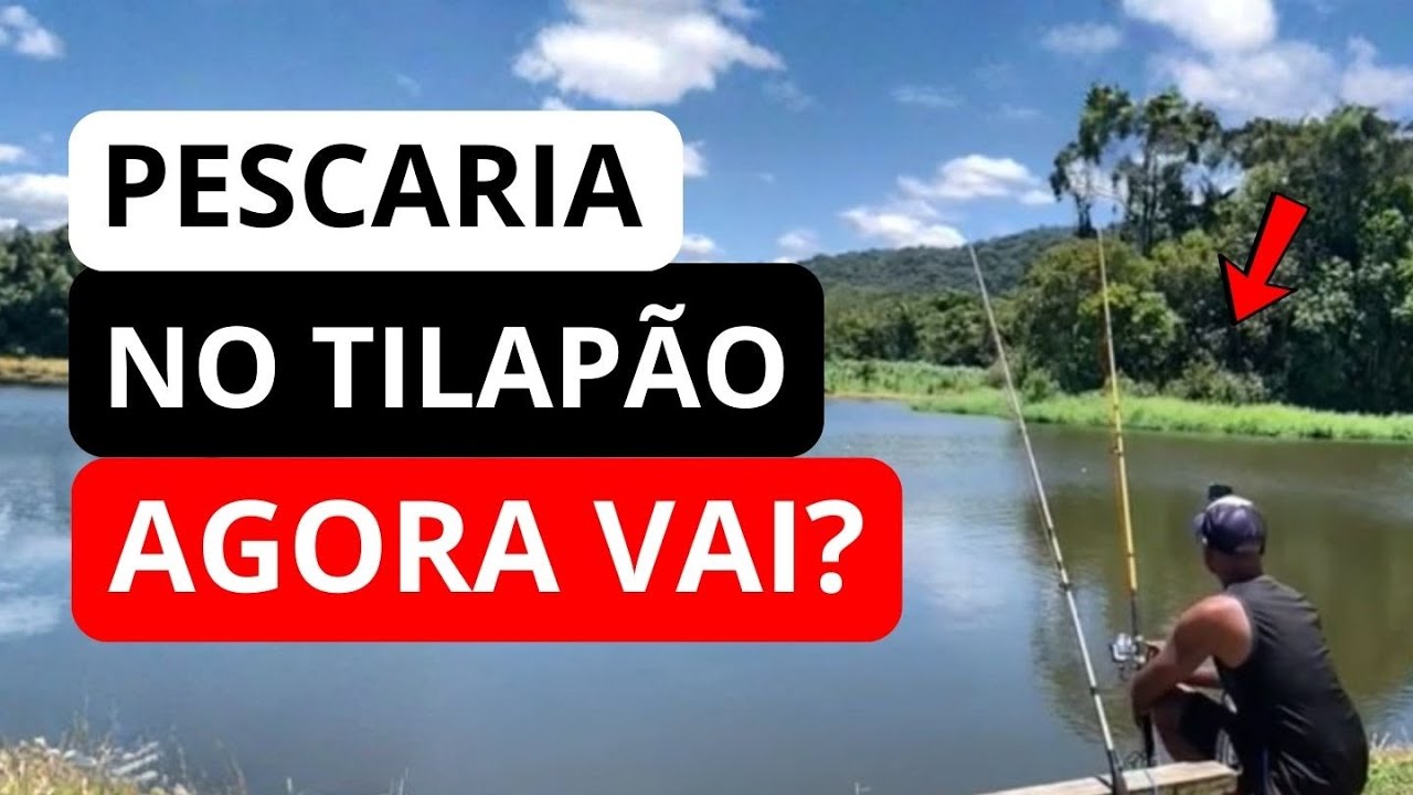 Voltei pro Tilapão com a Lude em Busca do Tambaqui dos Sonhos!/056