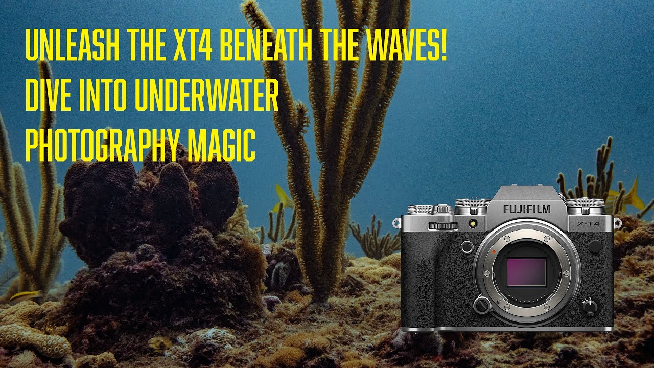 Открывая глубины: обзор подводного бокса для камеры Fujifilm XT4 Seafrog!
