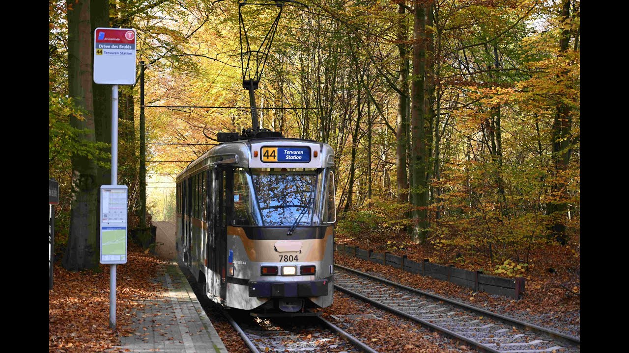 Belgique - Bruxelles - STIB / MIVB - Tram: couleurs automnales sur la ligne de tram 44 avec les PCC