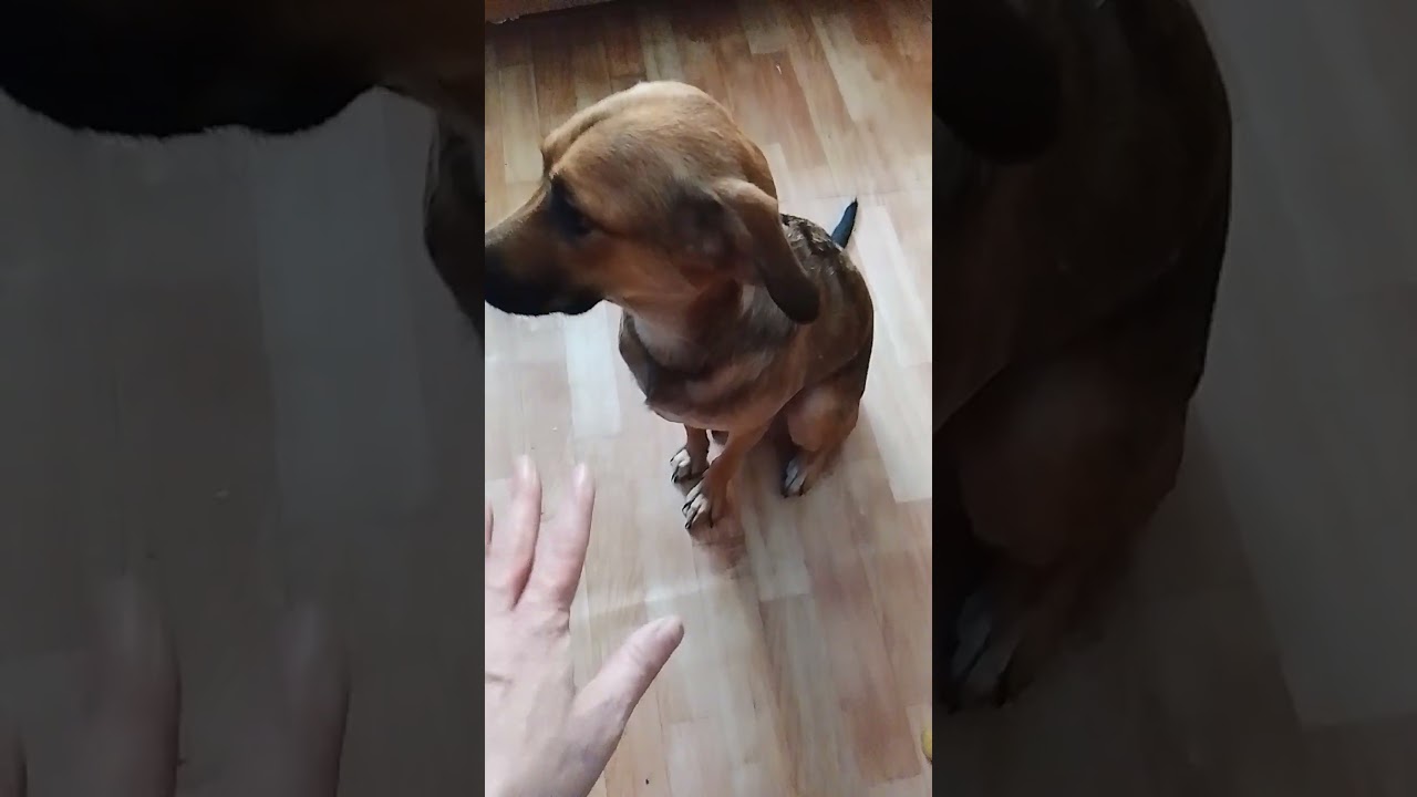 мы знаем команды