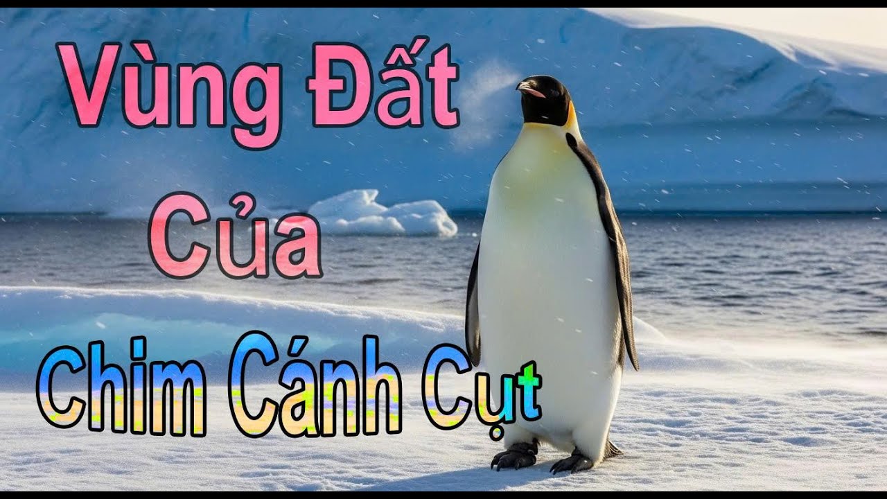Nam Cực Vùng Đất Của Băng Giá