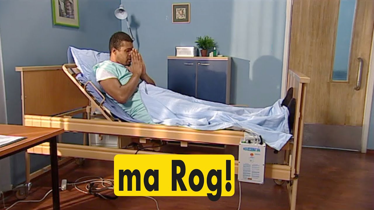 ma Rog! --- Viziru in serialul REGINA