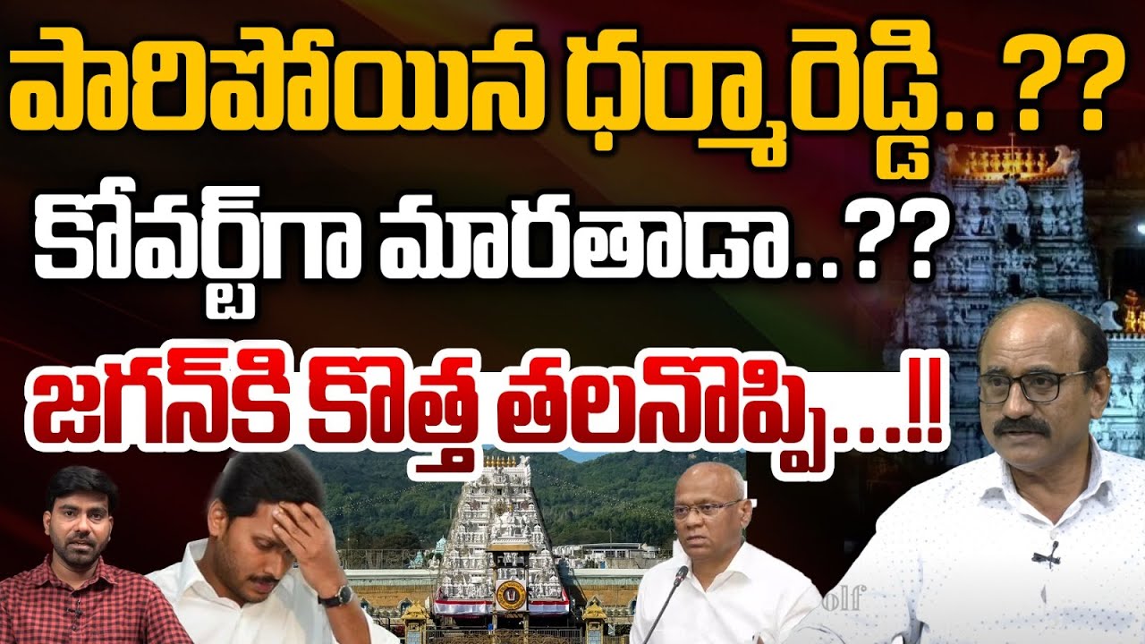 DVS About EX TTD EO Dharmareddy Over Tirupathi Laddu Issue | YV Subbareddy | Wild Wolf Telugu