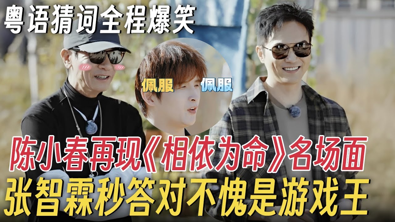 再就业男团VS大湾仔粤语猜词, 陈小春再现《相依为命》名场面, 张智霖秒答对不亏是游戏王! #快乐老友有风季 #张智霖 #陈小春