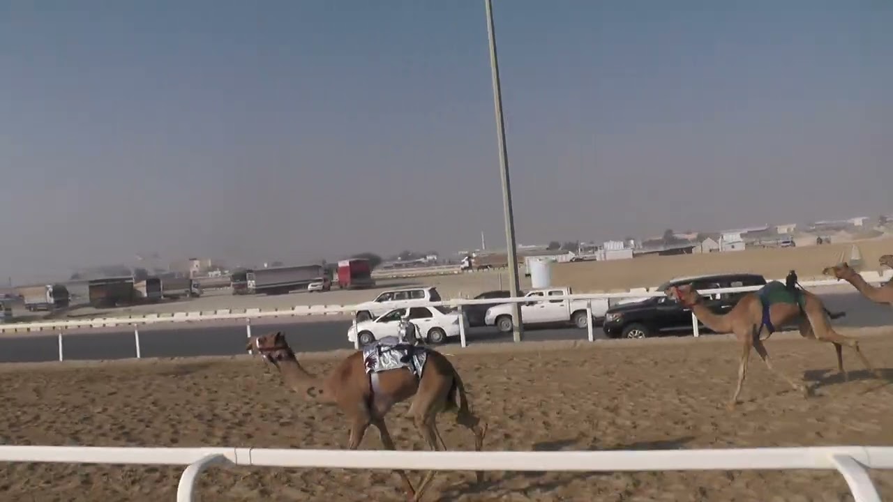 ش11/بكار/مشتركات/ميلاف/فيصل بن سيف المعاضيد/2:23:10