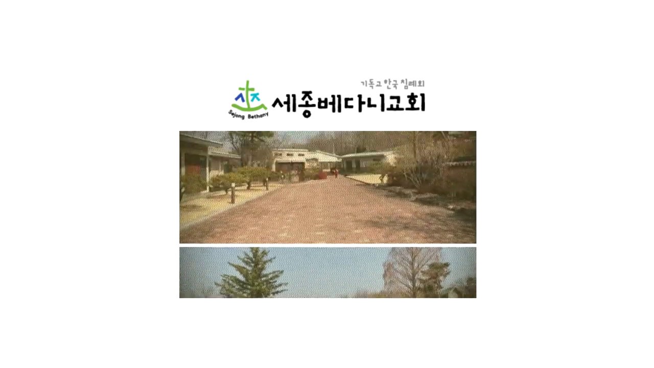 주의 사랑을 주의 선하심을 - 세종베다니찬양#1