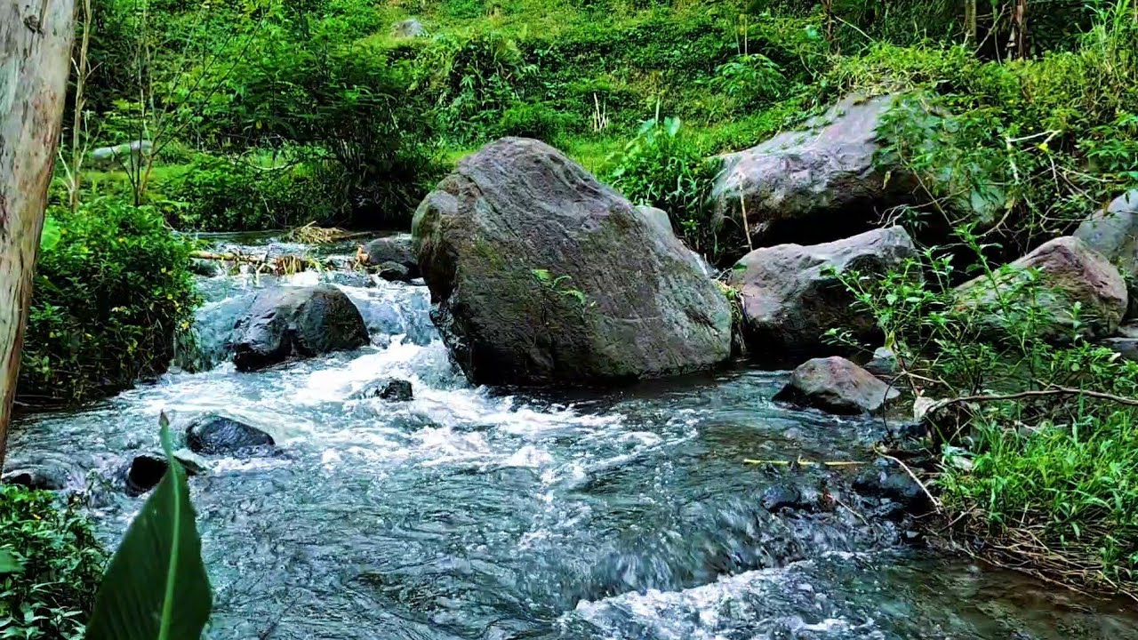 Healing River Sounds | Calm Water Ambience for Relaxation & Sleep