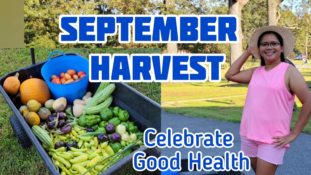 September Harvest in Kentucky | Vegetables From a Neglected Garden | Gardening in Kentucky
