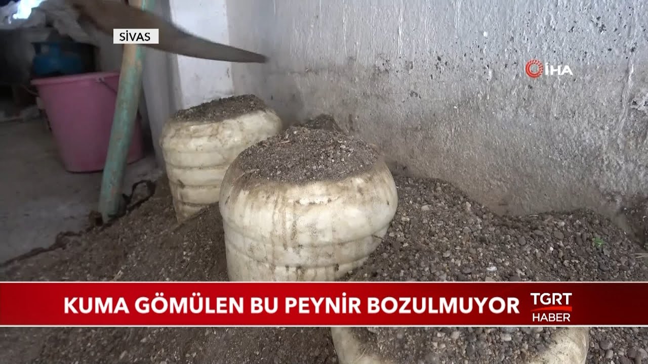 Kuma Gömülen Bu Peynir Bozulmuyor