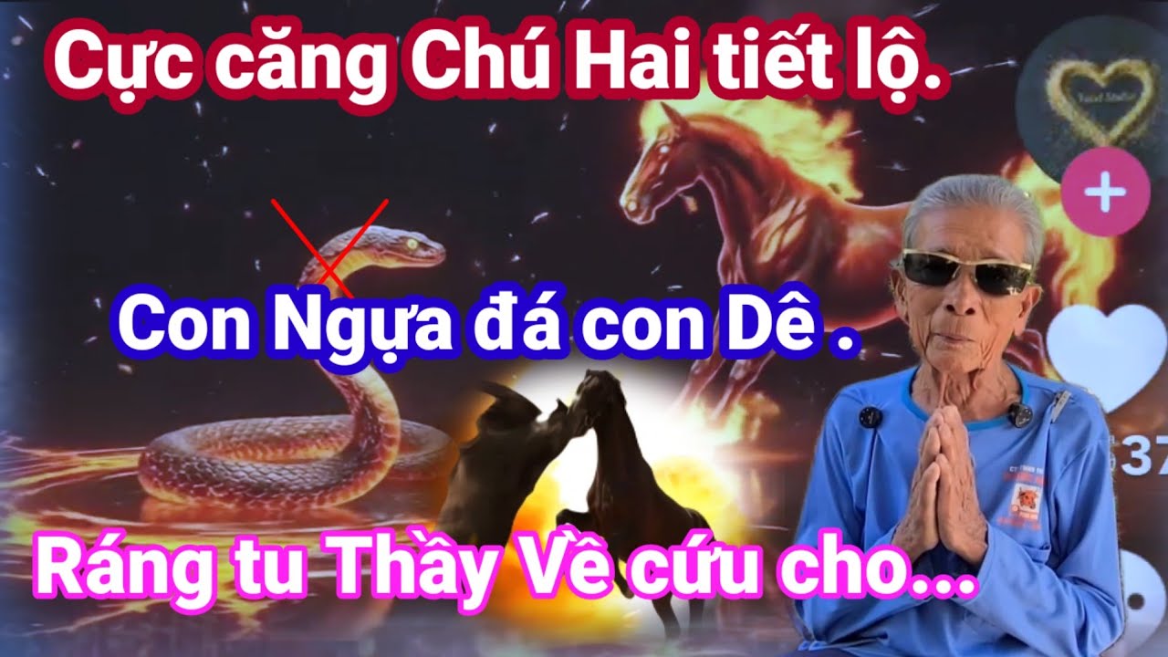 🙏Cực căng Chú Hai tiết lộ. Con Ngựa đá con Dê.ráng tu Thầy về cứu cho.🙏Cho Đời Vlog. 