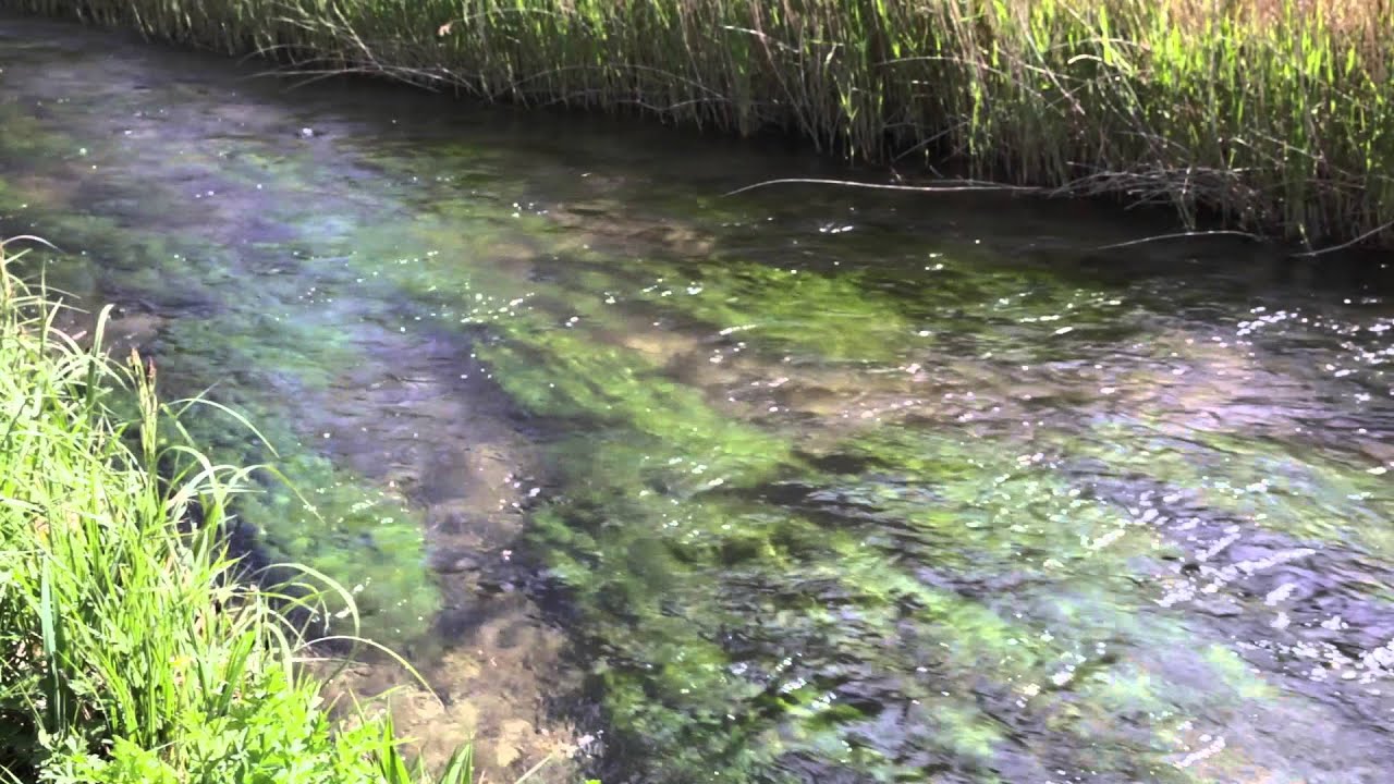 Restoring the Kennet - 2015 UK River Prize Entry