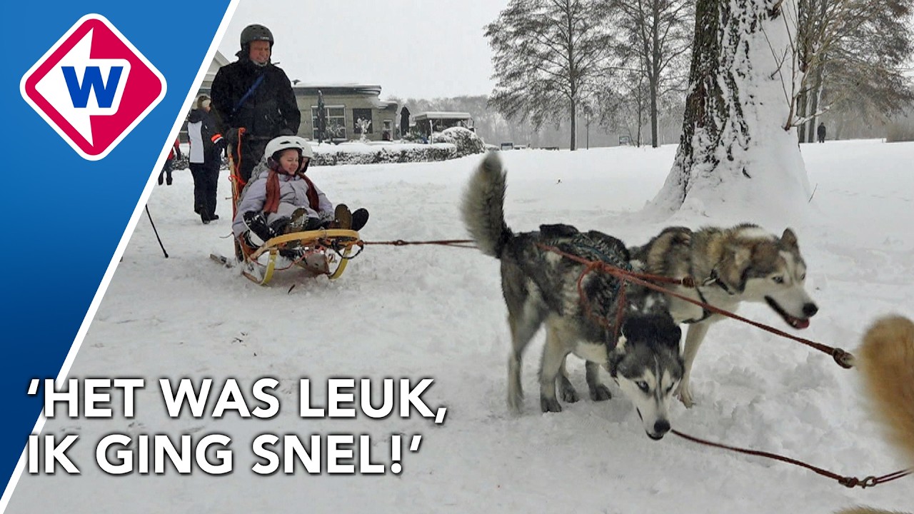 Sleeën met husky's en thuiswerken: winterse weer houdt aan in regio