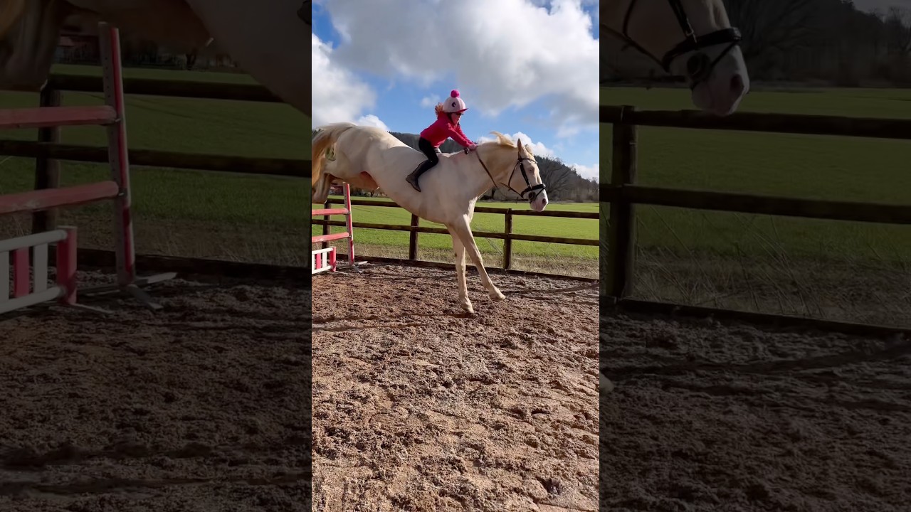 From a groom at 3 to a showjumper at 6 #horse #equestrian #pony #horsegirl #jump #animal #jump