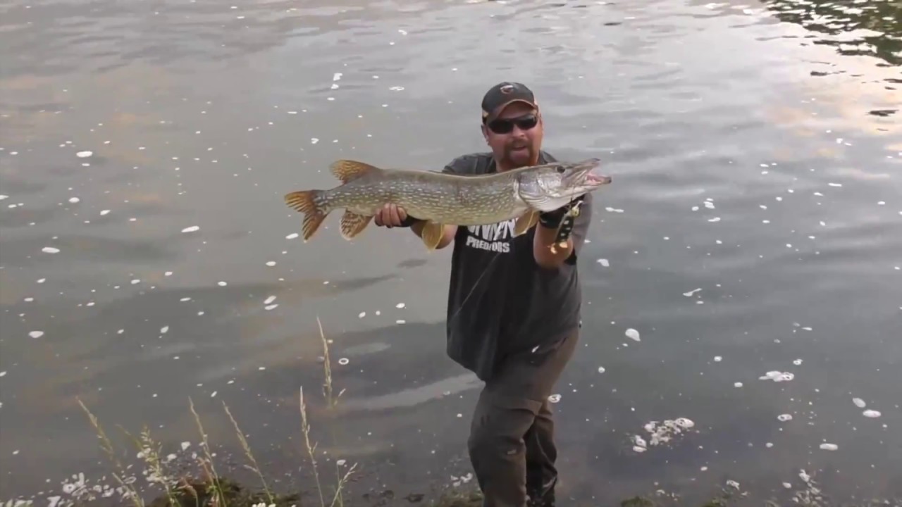 La preuve par l'image : le Suicide Duck Savage Gear
